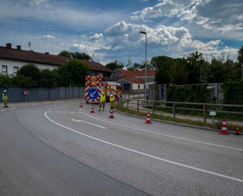 IMG_4557